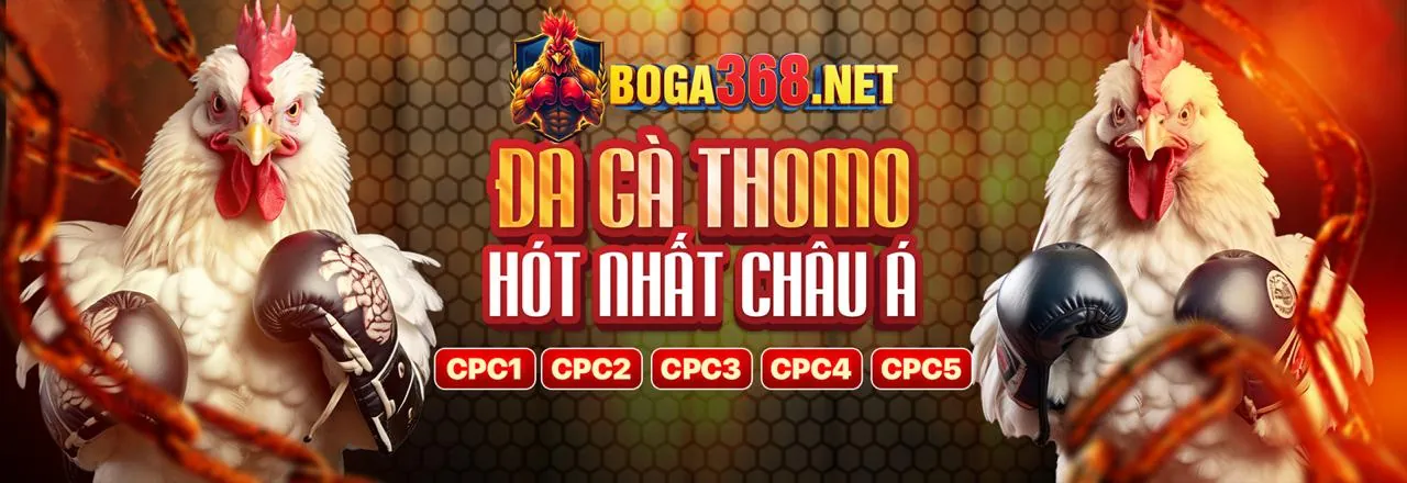 Đá Gà K9bet Trực Tiếp - K9bet Đăng Nhập